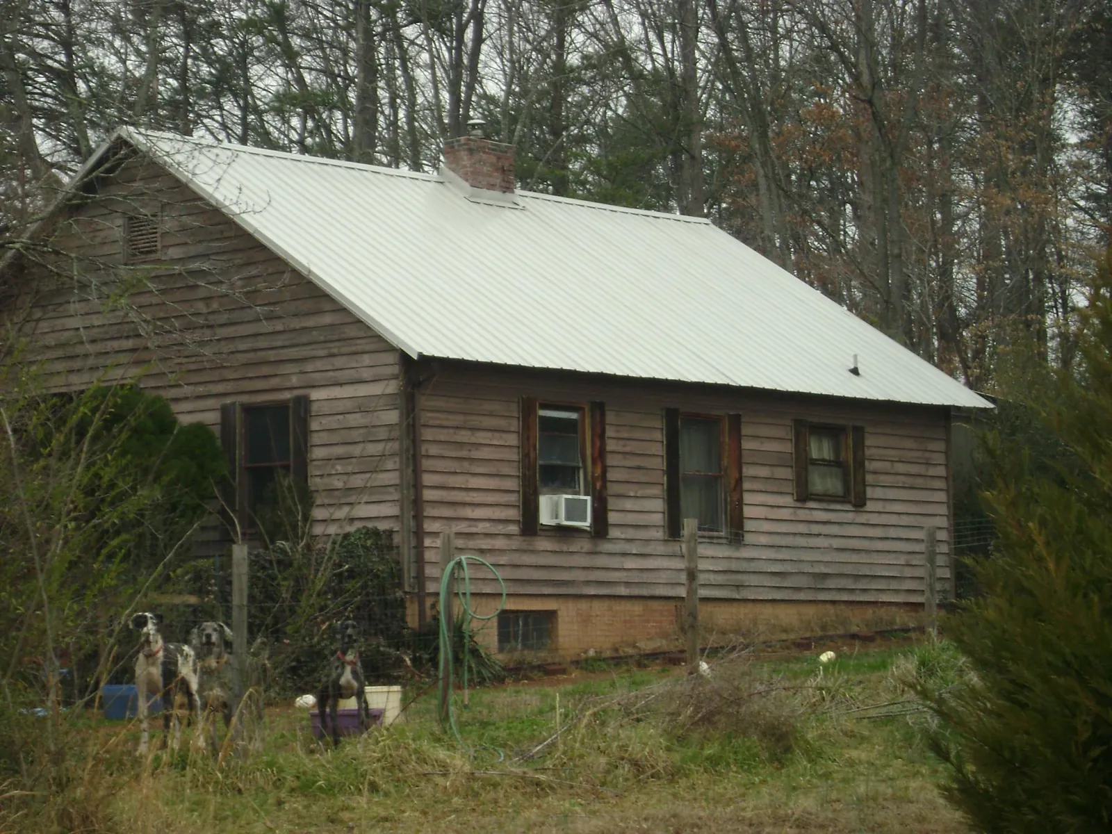 White metal roof on an old wood sided farmhouse, from a Metal Roof Installation job in Penrose